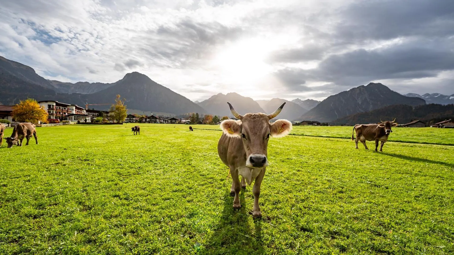 Best Western Plus Hotel Alpenhof Oberstdorf 4*,  Deutschland